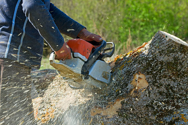 Lawn Grading and Leveling in Jasonville, IN